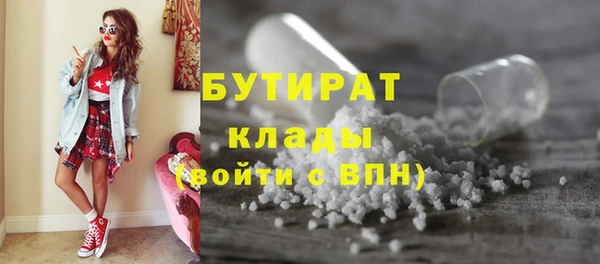 шишки Новозыбков