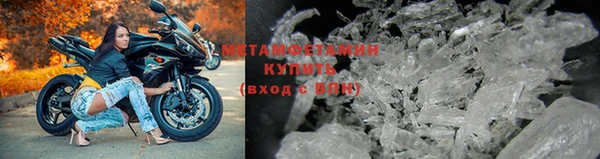 крисы Новокубанск