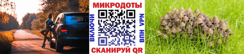 Псилоцибиновые грибы прущие грибы  omg ONION  Нестеров 